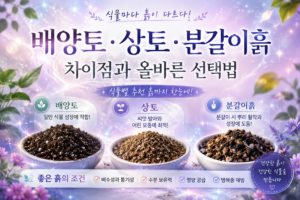 배양토, 상토, 분갈이흙의 차이점과 식물별 올바른 선택 방법 4 흙차이 썸네일