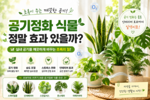 공기정화 식물은 정말 효과가 있을까? 실내에서 키우기 좋은 식물 추천 1 공기정화식물 썸네일