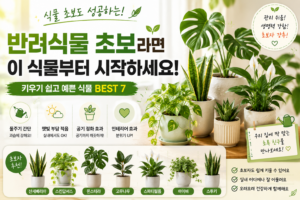 반려식물 초보라면 꼭 알아야 할 키우기 쉬운 식물 추천 BEST 7 9 반려식물 썸네일