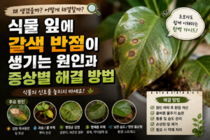 식물 잎에 갈색 반점이 생기는 원인과 증상별 해결 방법 2 갈색반점 썸네일
