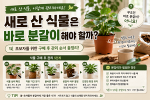 새로 산 식물은 바로 분갈이해야 할까? 구매 후 관리 순서 총정리 1 새로산식물 썸네일