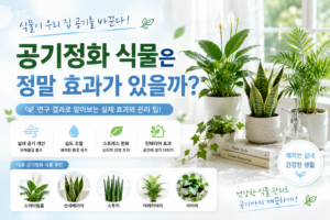공기정화 식물은 정말 효과가 있을까? 연구 결과와 관리 팁 9 공기청정식물 썸네일