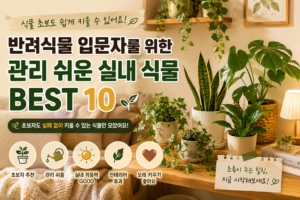 반려식물 입문자를 위한 관리 쉬운 실내 식물 추천 BEST 10 8 실내관리식물 썸네일