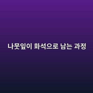 나뭇잎이 화석으로 남는 과정 6 eb8298ebad87ec9e8eec9db4 ed9994ec849dec9cbceba19c eb82a8eb8a94 eab3bceca095 1786772951
