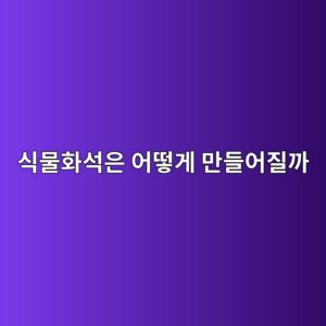 식물화석은 어떻게 만들어질까 7 ec8b9debacbced9994ec849dec9d80 ec96b4eb96bbeab28c eba78ceb93a4ec96b4eca788eab98c 1786772897