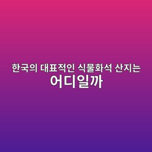 한국의 대표적인 식물화석 산지는 어디일까 3 ed959ceab5adec9d98 eb8c80ed919ceca081ec9db8 ec8b9debacbced9994ec849d ec82b0eca780eb8a94 ec96b4eb9494ec9dbceab98c 1786771213