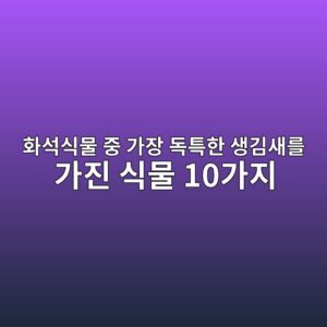 화석식물 중 가장 독특한 생김새를 가진 식물 10가지 4 ed9994ec849dec8b9debacbc eca491 eab080ec9ea5 eb8f85ed8ab9ed959c ec839deab980ec8388eba5bc eab080eca784 ec8b9debacbc 10eab080eca780 1786711861